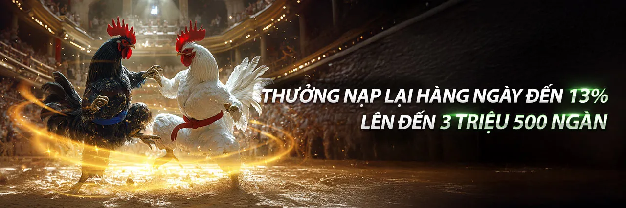 Đá Gà Thomo 17/8/2022 – Trải Nghiệm Đỉnh Cao Tại Win2026VN